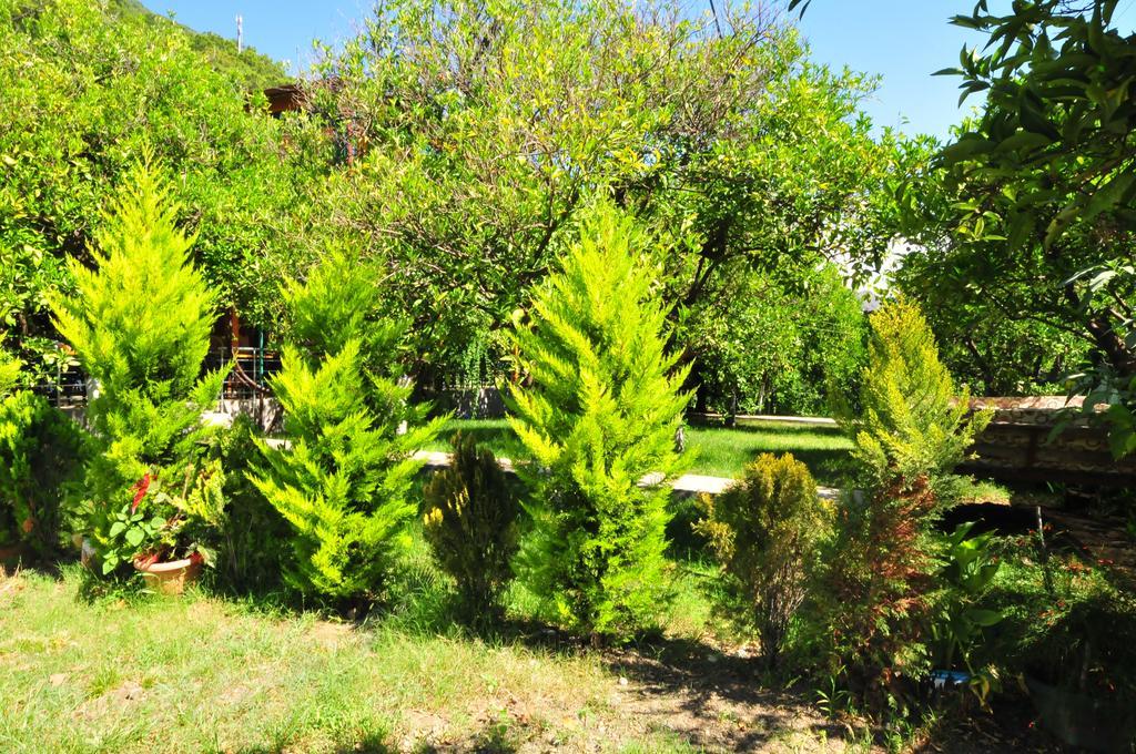 Ikiz Pension Bungalow Çıralı Cameră foto