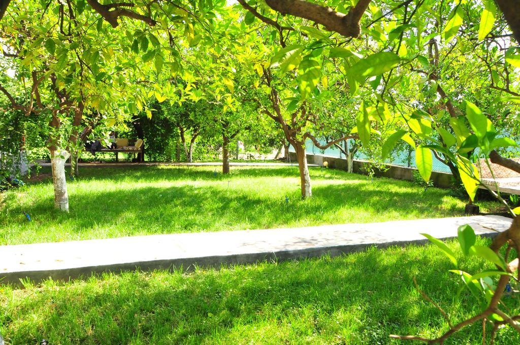 Ikiz Pension Bungalow Çıralı Cameră foto